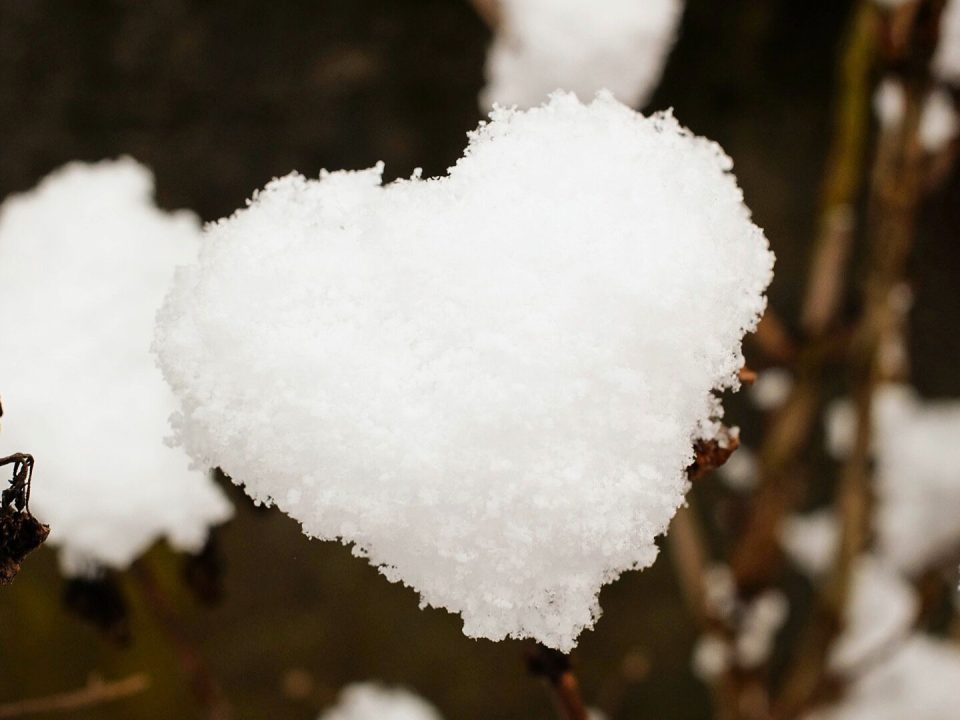 navigating-grief-and-loss-on-valentines-day