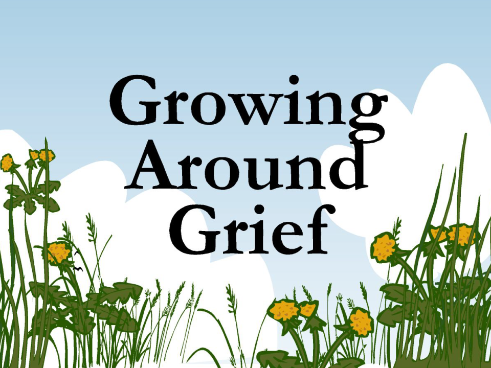 lois-tonkin-growing-around-grief