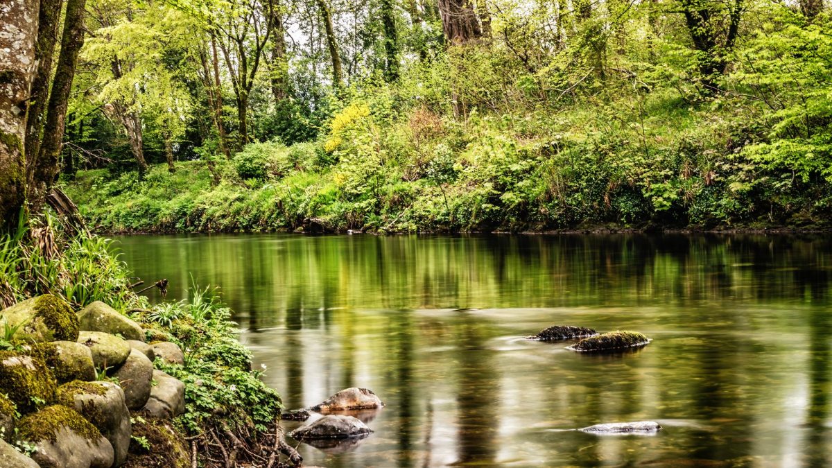 supporting-friends-river-dart