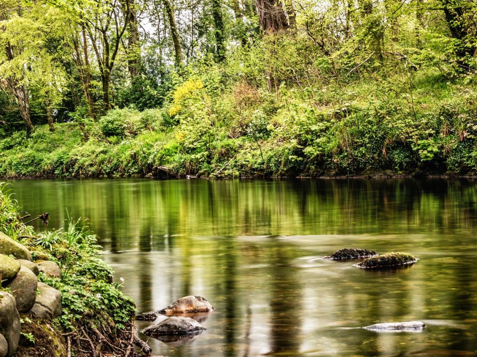 supporting-friends-river-dart